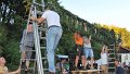 Binden am Donnerstag 080